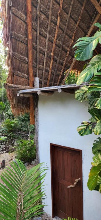 Selva Roca * Tulum